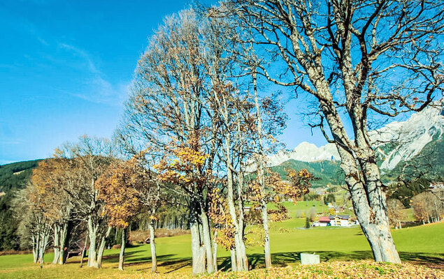 Berghaus Weitblick - Photo 28