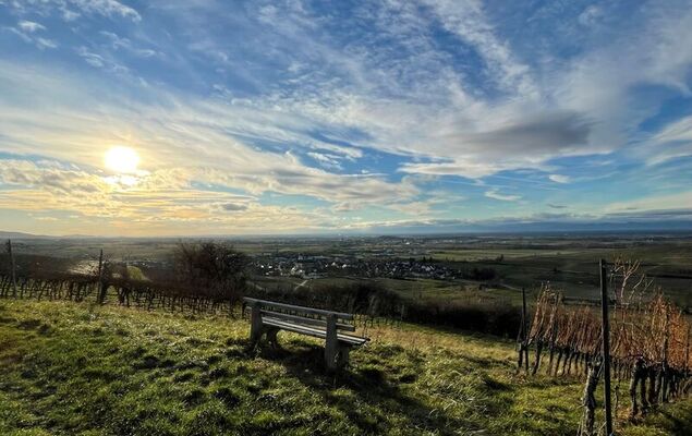 Schwarzwaldchalet de luxe mit Sauna - Photo 32
