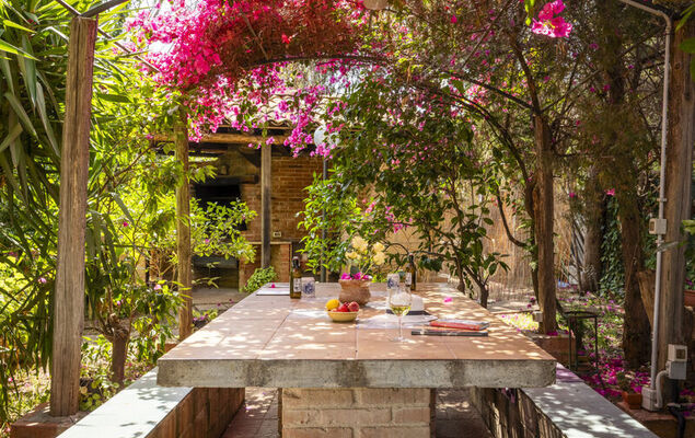 Cicladi Anafi - Photo 25