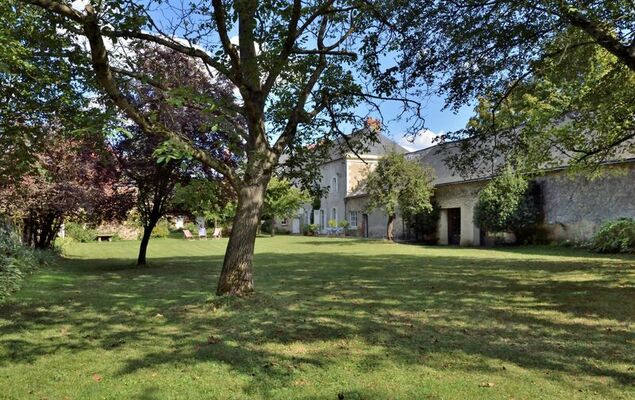 Langevine - Photo 37